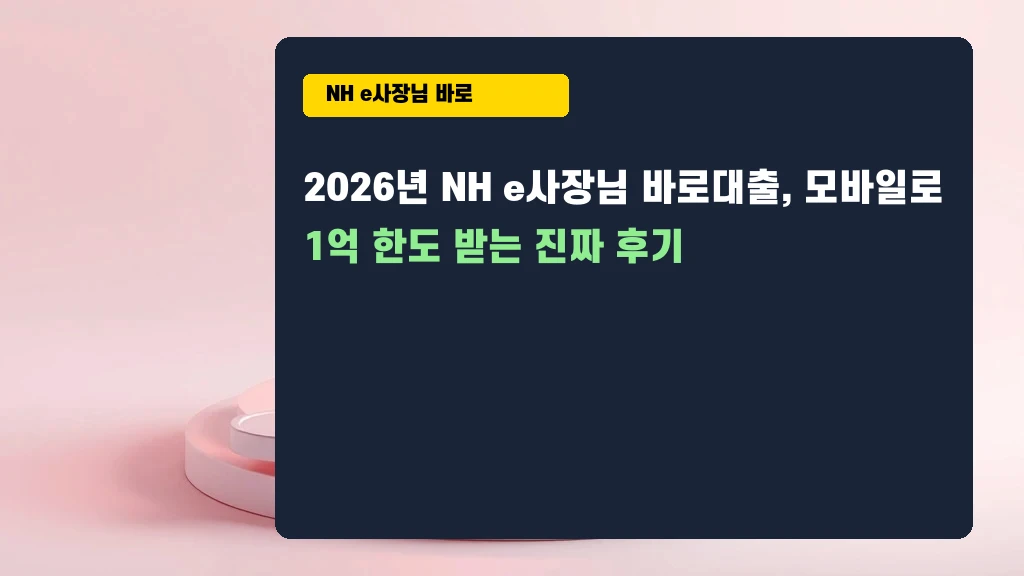 NH e사장님 바로대출, 영업점 안 가고 내 폰으로 신청하는 법